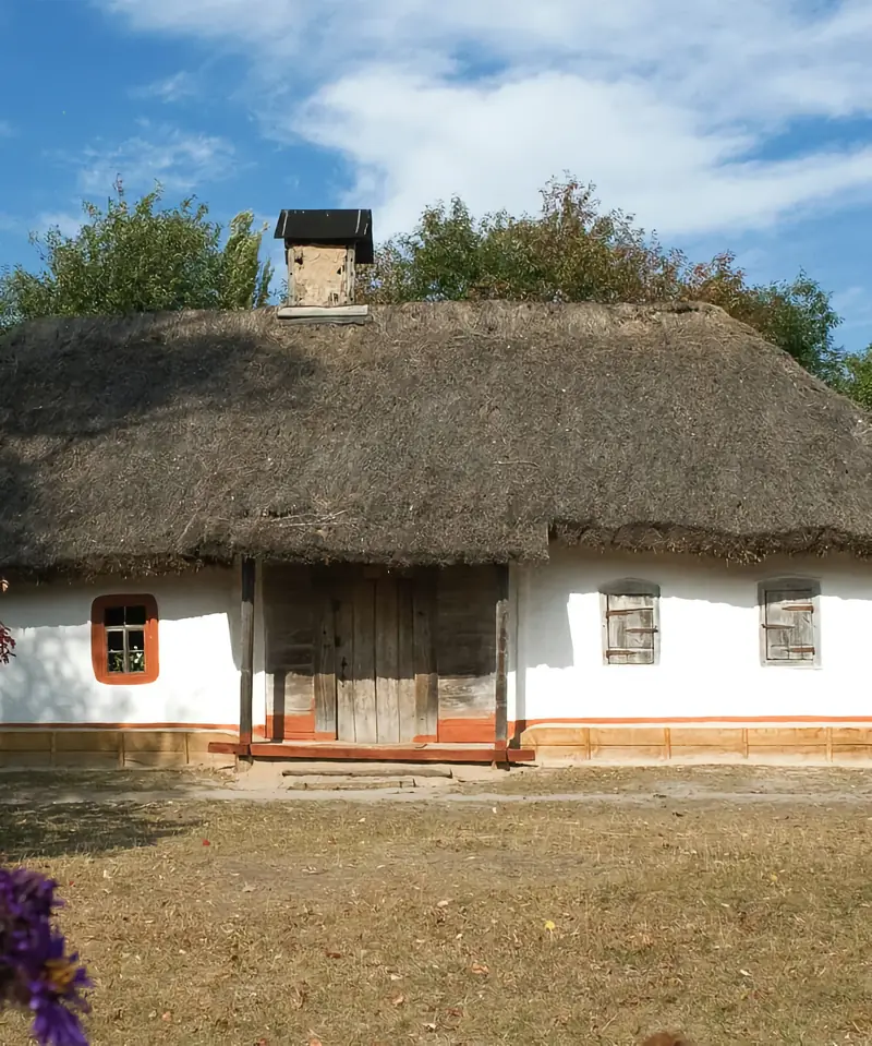 Natural building
