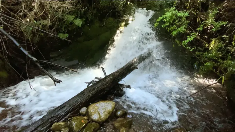 Land with a waterfall in the Trufulco valley
